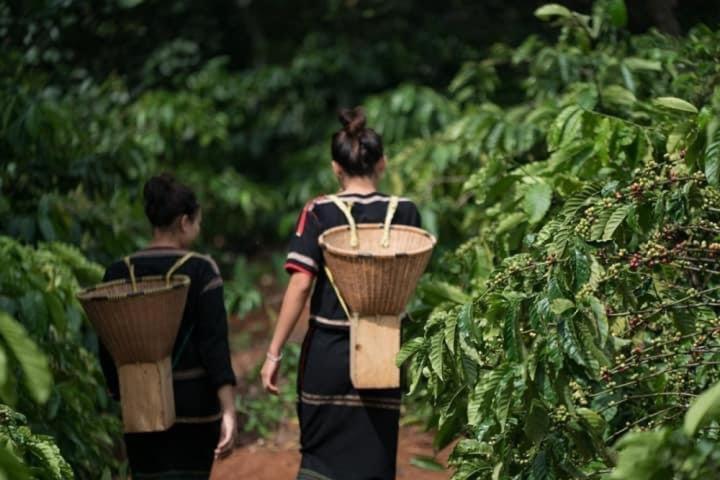 Dugiang Homestay Buon Ma Thuot Eksteriør bilde