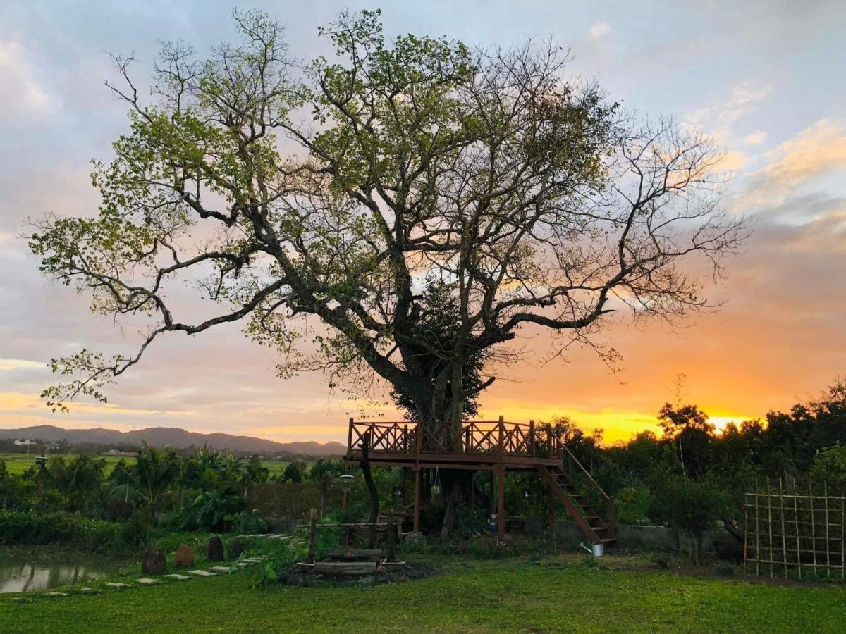Dugiang Homestay Buon Ma Thuot Eksteriør bilde